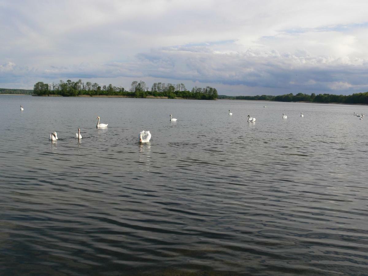 Вилла Zlota Lesniczowka Rydzowka Экстерьер фото