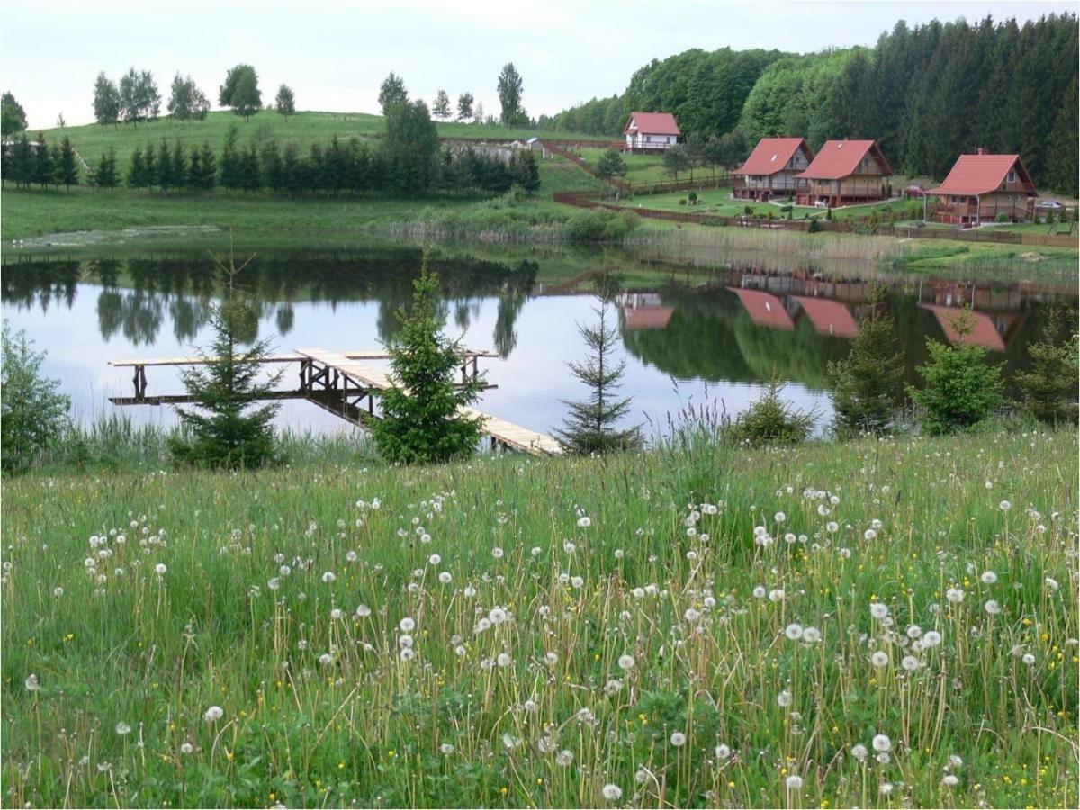 Вилла Zlota Lesniczowka Rydzowka Экстерьер фото